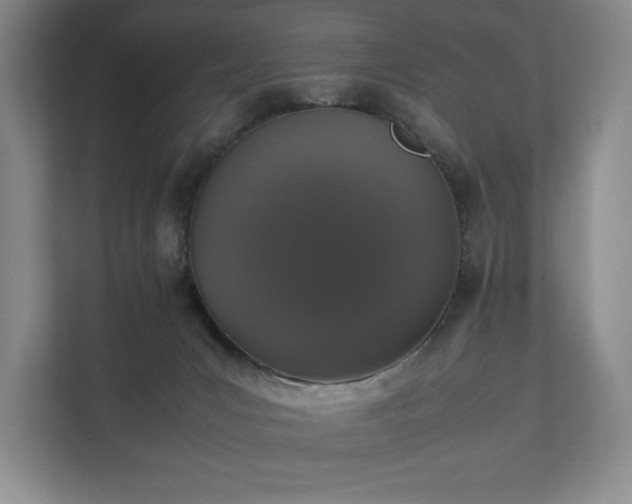 X0000112530031200908241516