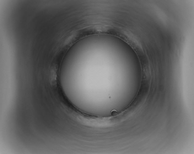 X0000112530032200908241516