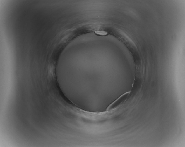 X0000112530035200908241515