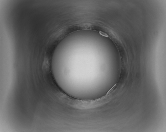 X0000112530037200908241515
