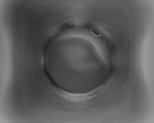 X0000112530039200908241515