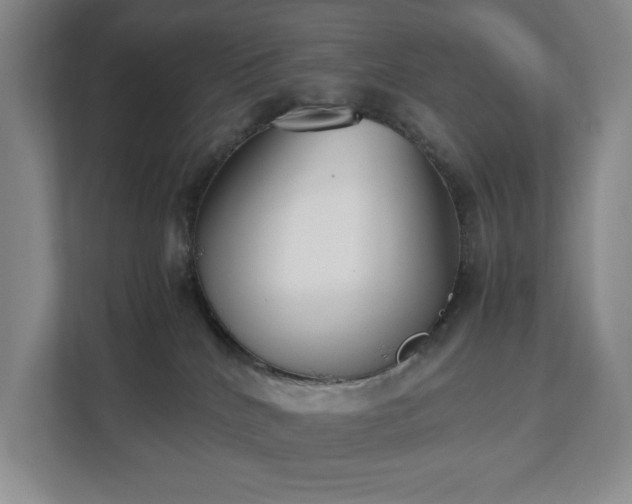 X0000112530040200908241515
