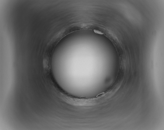 X0000112530044200908241515