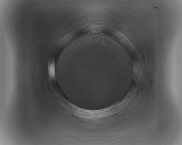 X0000112530046200908241515