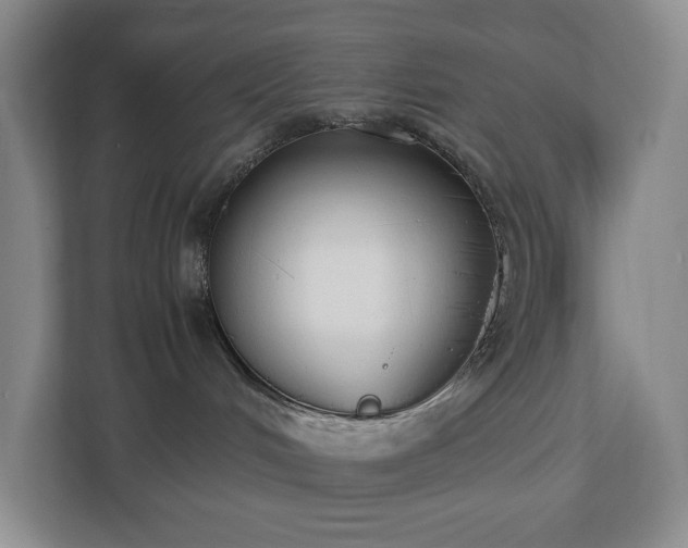 X0000112530048200908241515