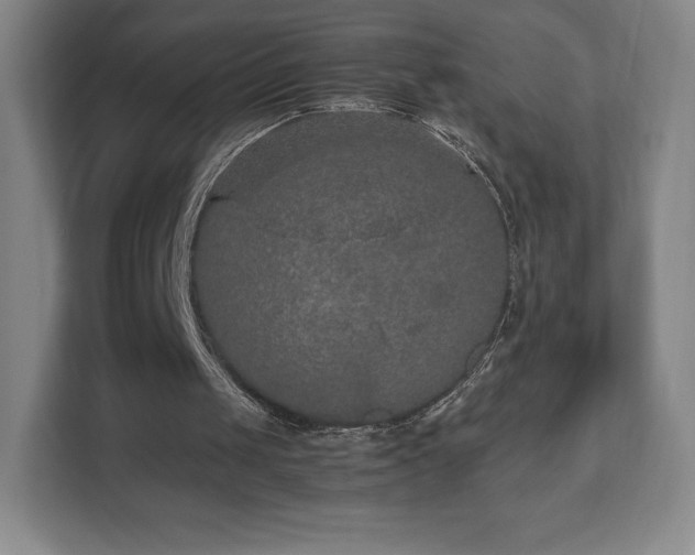 X0000112530049200908241515
