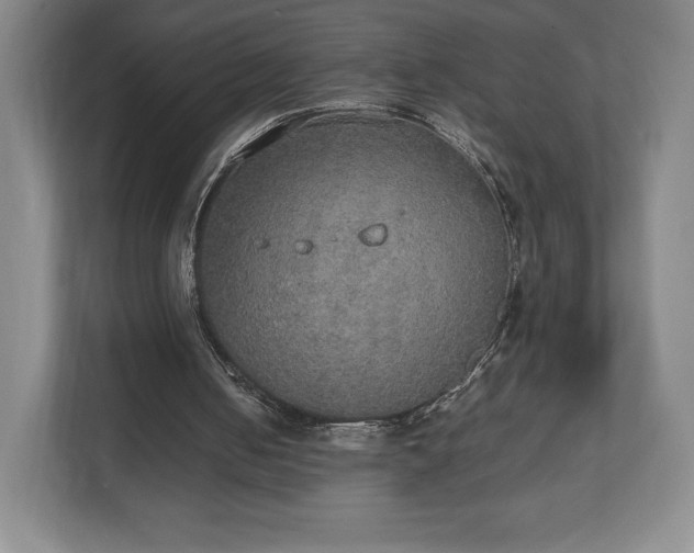 X0000112530050200908241515