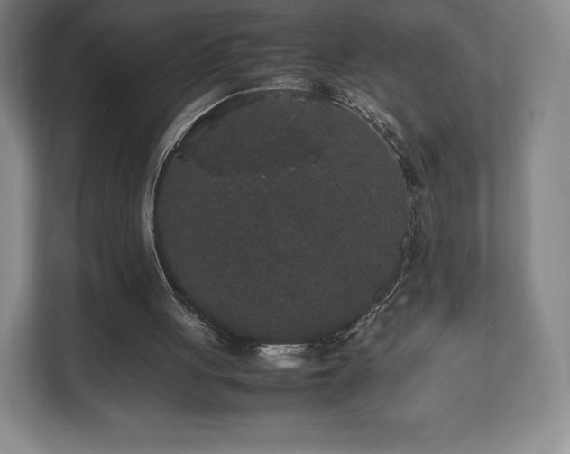 X0000112530051200908241515