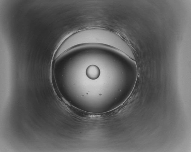 X0000112530052200908241515