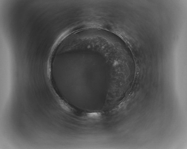 X0000112530053200908241515