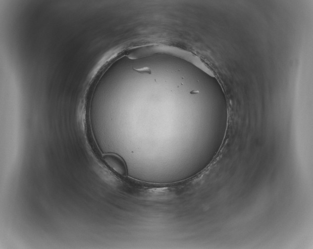 X0000112530054200908241515