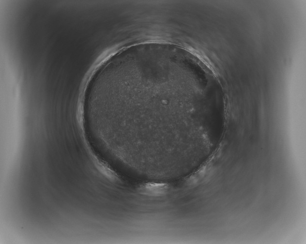 X0000112530055200908241515