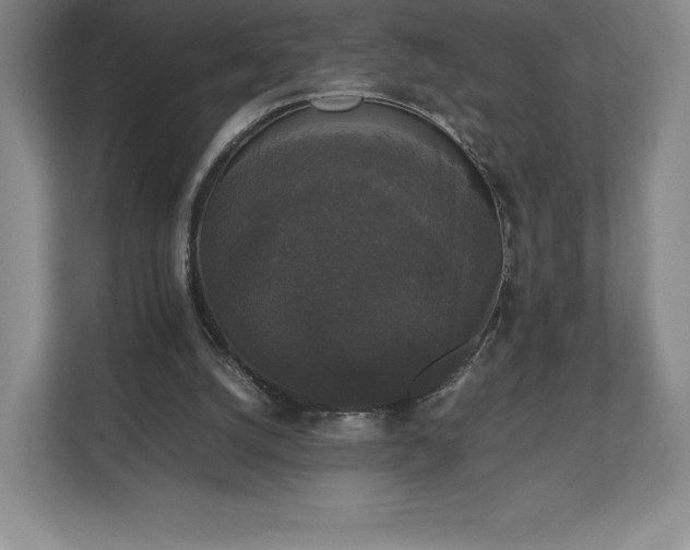 X0000112530056200908241515
