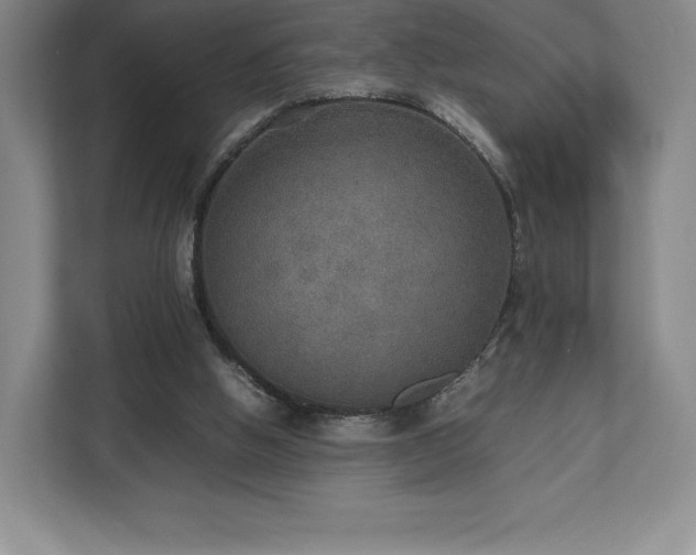 X0000112530058200908241515
