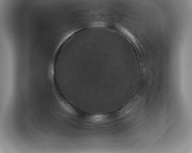 X0000112530059200908241515