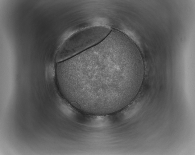 X0000112530060200908241515