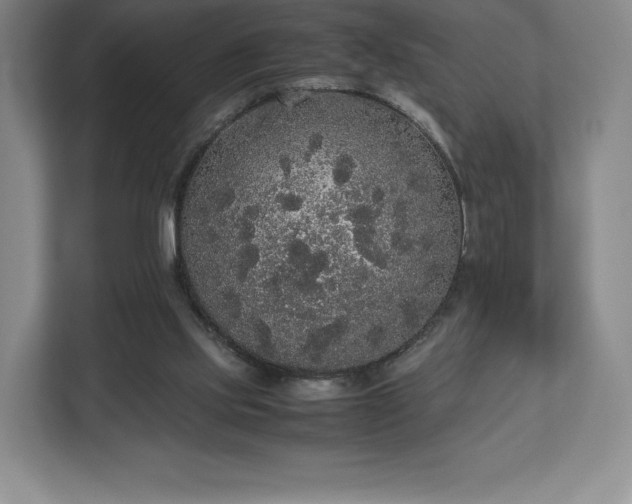 X0000112530061200908241515
