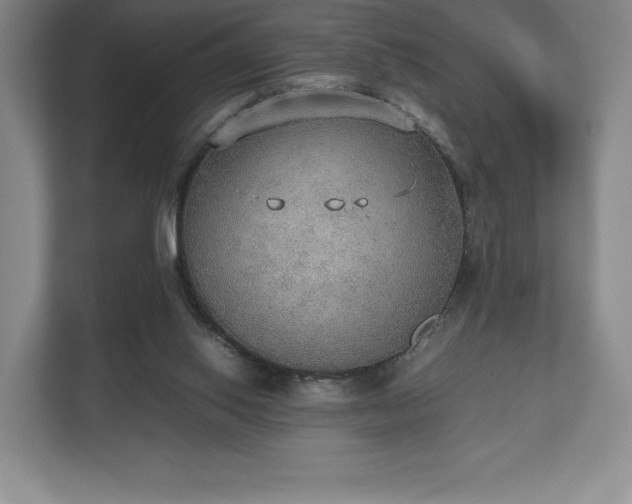 X0000112530062200908241515