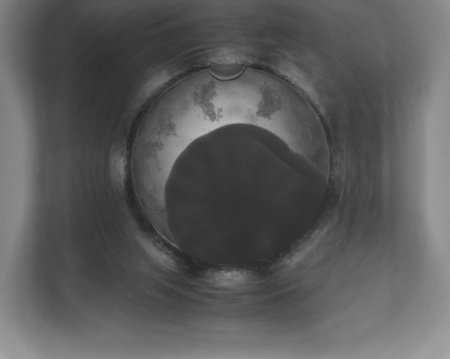X0000112530063200908241515