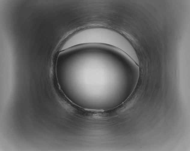 X0000112530064200908241515
