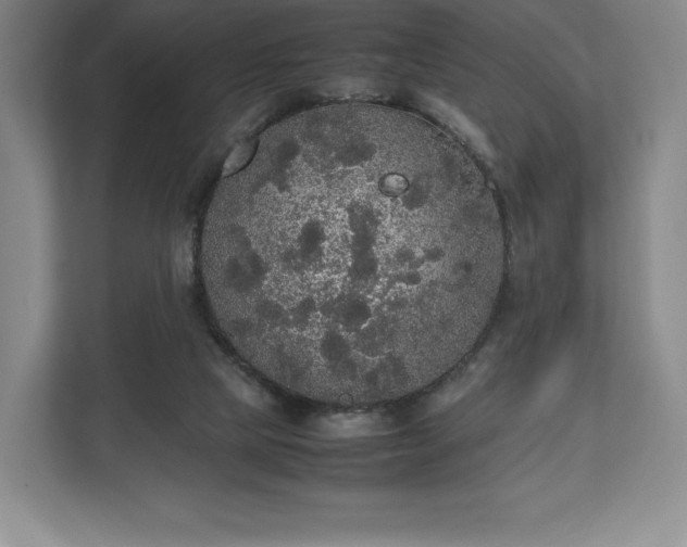 X0000112530065200908241515