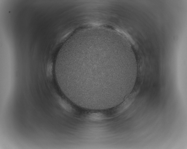 X0000112530066200908241515