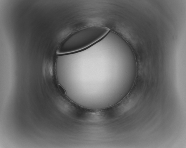 X0000112530068200908241515
