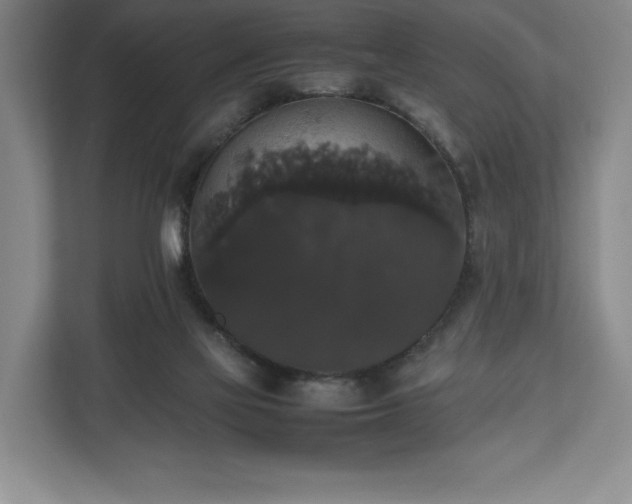 X0000112530069200908241515