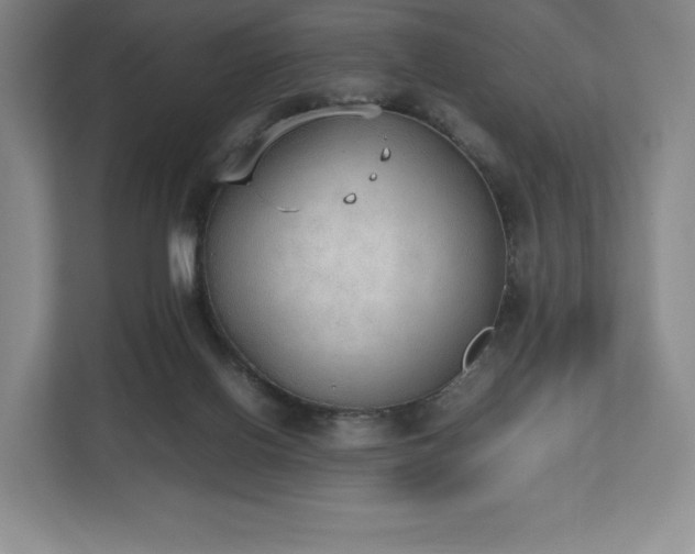 X0000112530070200908241515