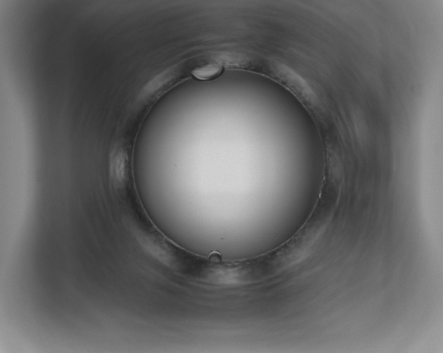 X0000112530071200908241515