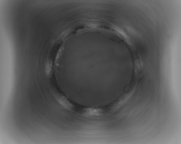 X0000112530073200908241515