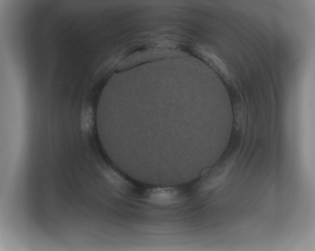 X0000112530077200908241515