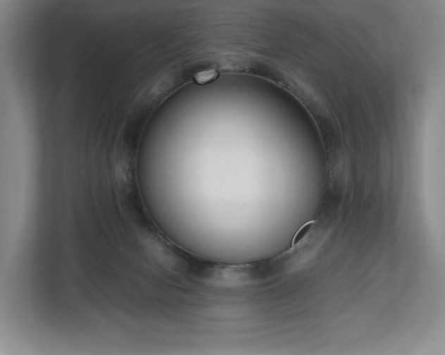 X0000112530078200908241515