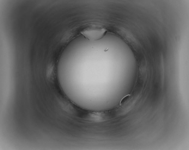 X0000112530079200908241515