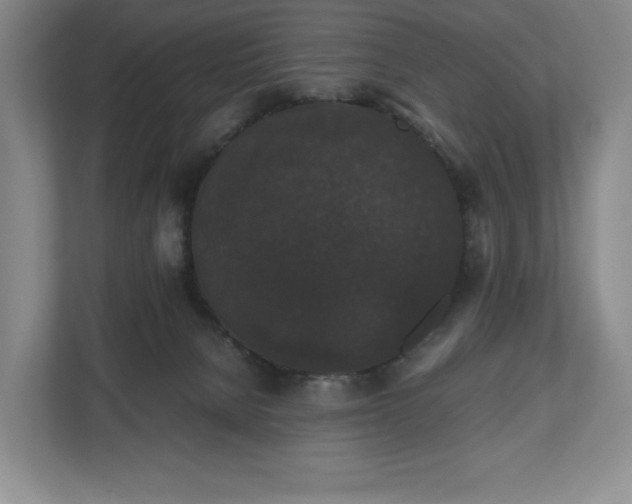 X0000112530080200908241515