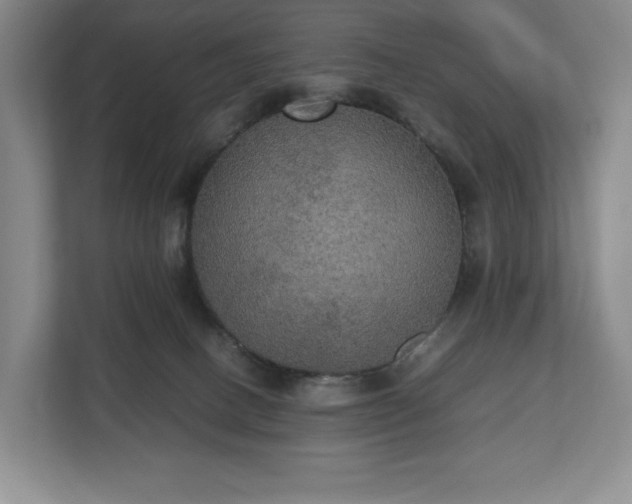 X0000112530082200908241515
