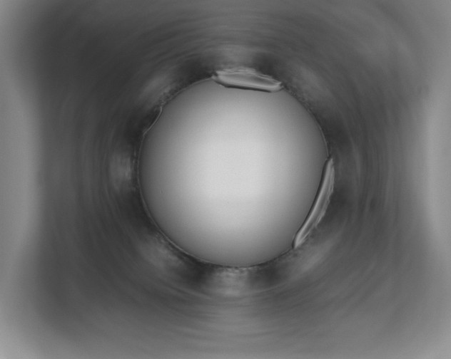 X0000112530084200908241515