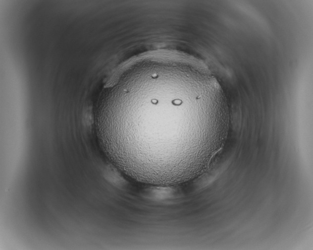 X0000112530085200908241515