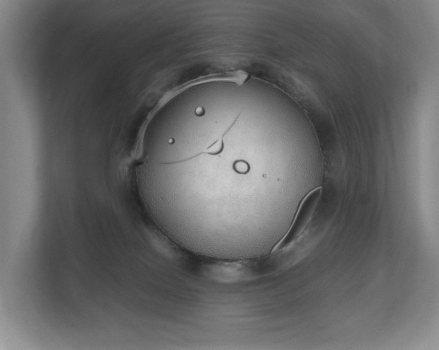 X0000112530086200908241515