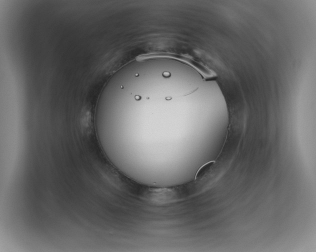 X0000112530087200908241515