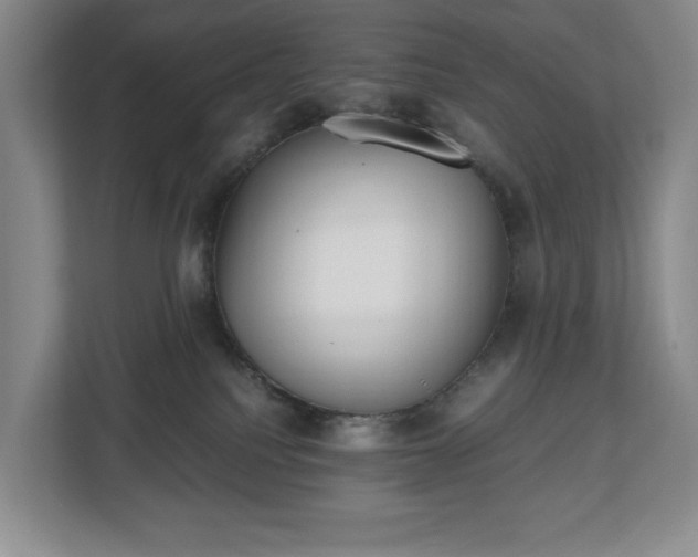 X0000112530088200908241515