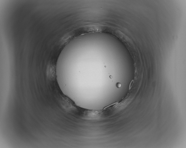 X0000112530096200908241515