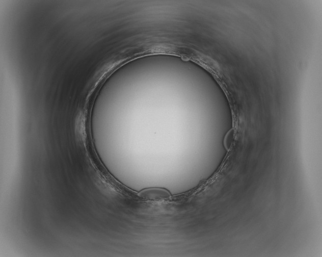 X0000112530098200908241515