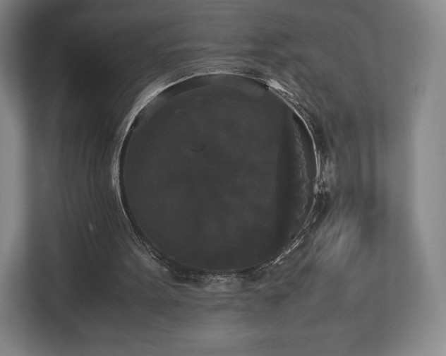 X0000112530099200908241515