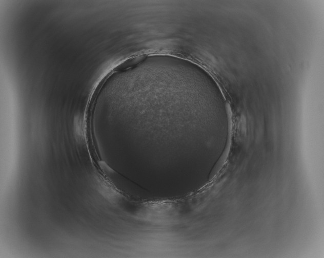 X0000112530100200908241515