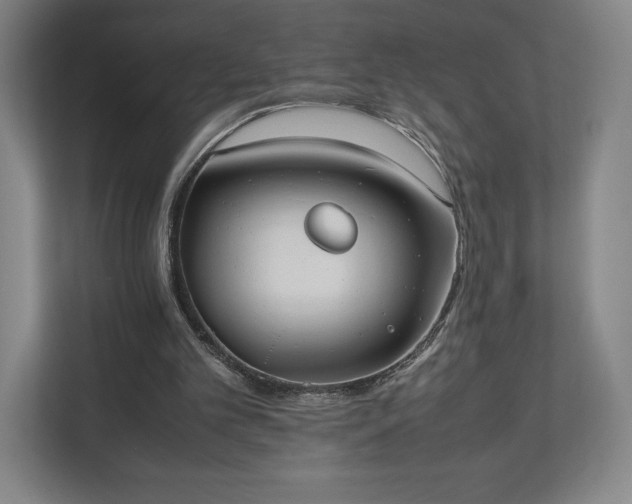 X0000112530101200908241515