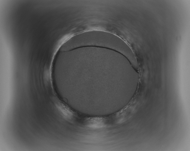 X0000112530104200908241515