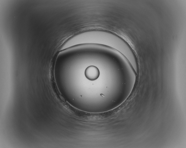 X0000112530105200908241515