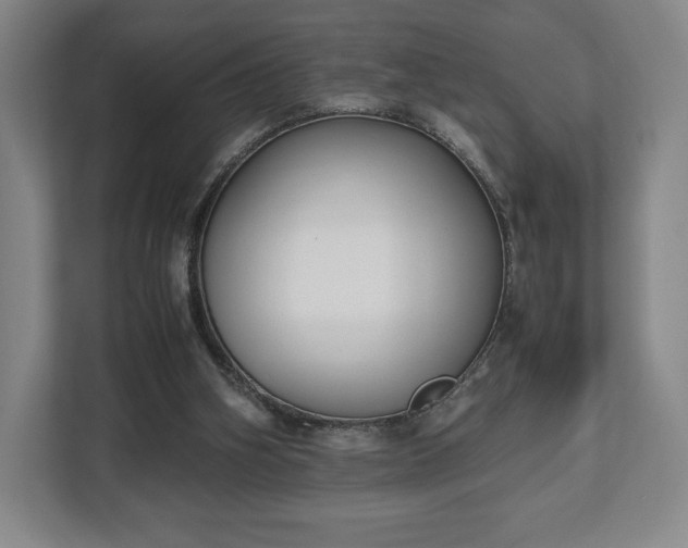 X0000112530106200908241515