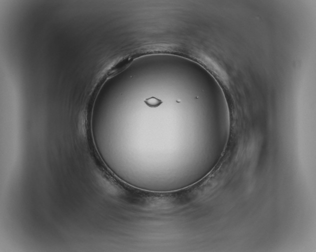 X0000112530107200908241515